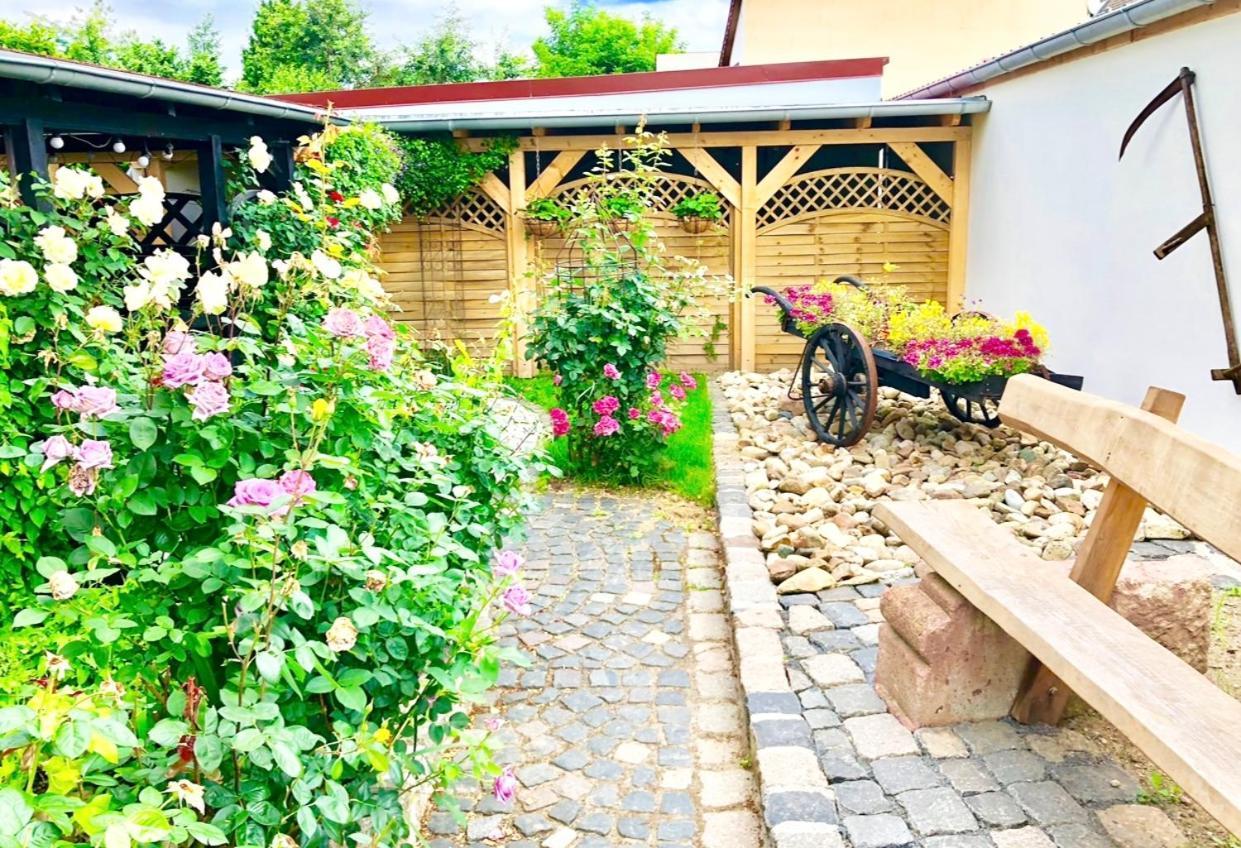 Ferienwohnungen Grimma 4 Dış mekan fotoğraf